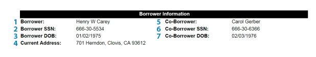 Borrower/Co-Borrower Information